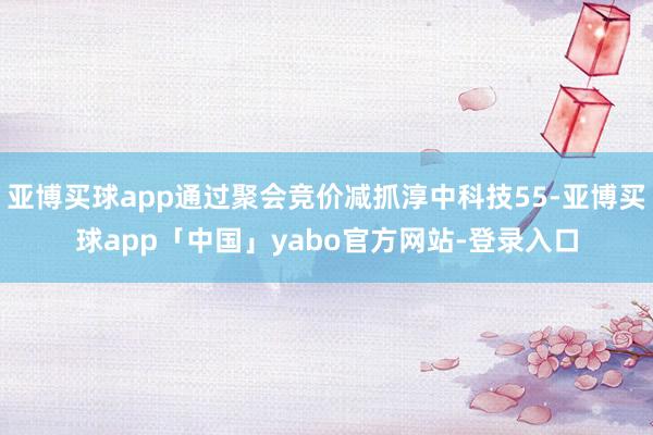 亞博買球app通過聚會競價減抓淳中科技55-亞博買球app「中國」yabo官方網站-登錄入口